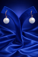 Minimal Elegant Drop Earrings (EAR24)