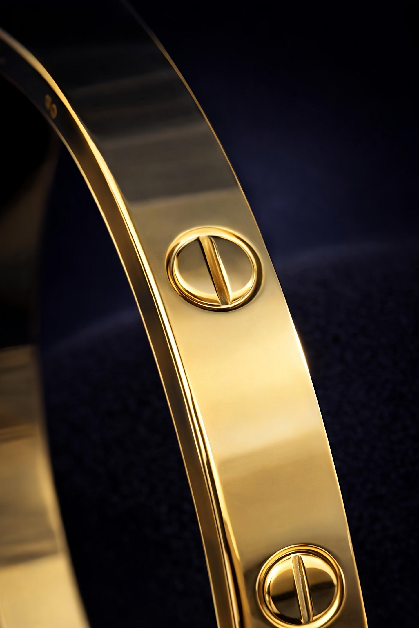 Luxury Gold Screw Bangle Bracelet (BAR1)