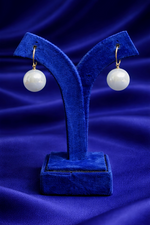 Minimal Elegant Drop Earrings (EAR24)