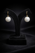 Minimal Elegant Drop Earrings (EAR24)