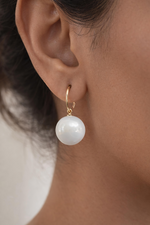 Minimal Elegant Drop Earrings (EAR24)